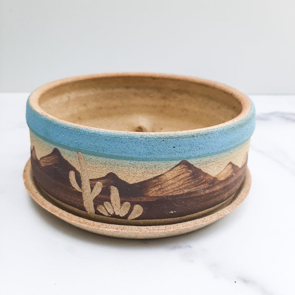 VINTAGE Cactus Desert Stone Pottery Decorative Flower Pot Planter with Saucer